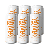 Santai Six Pack - Apple